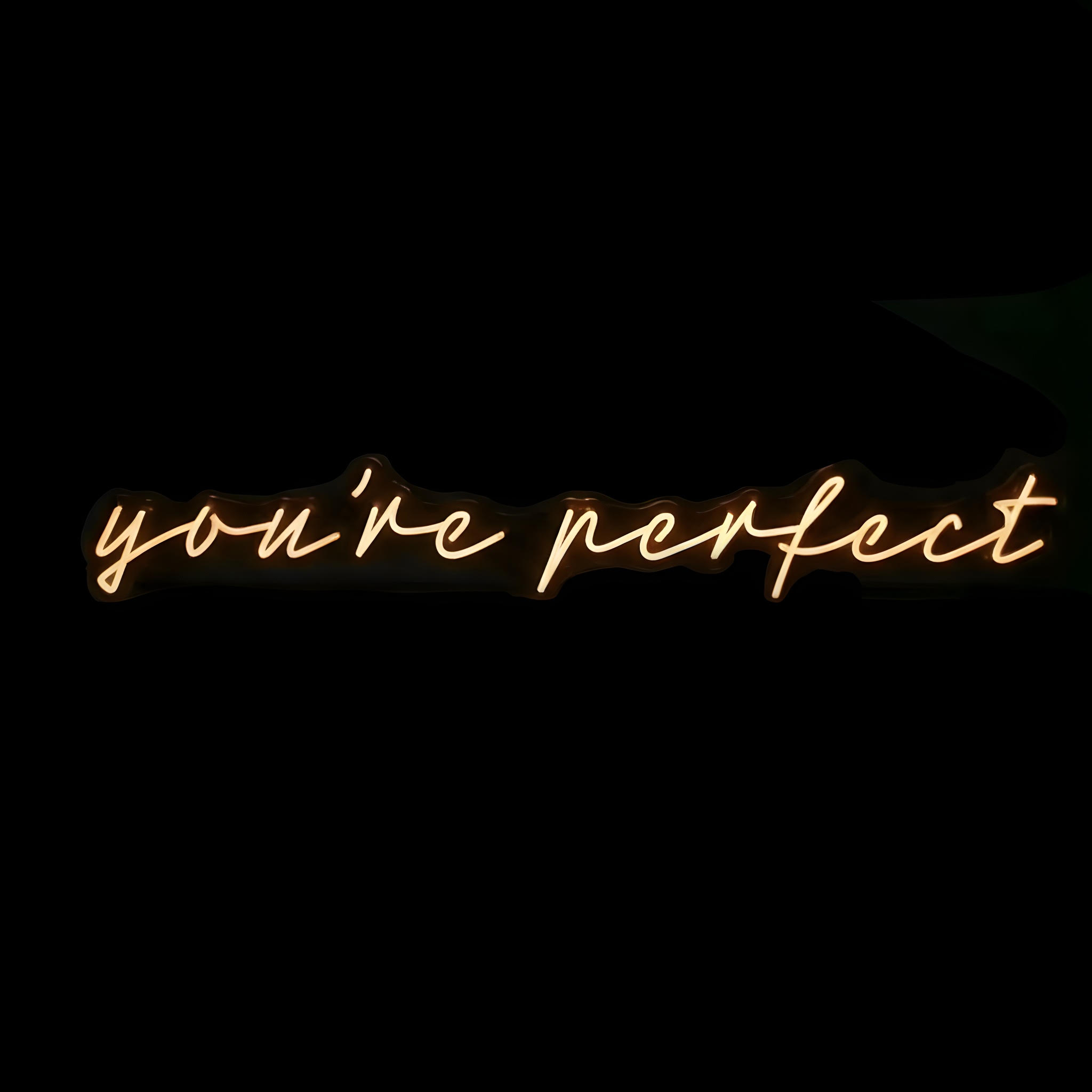 You're Perfect Neon Sign