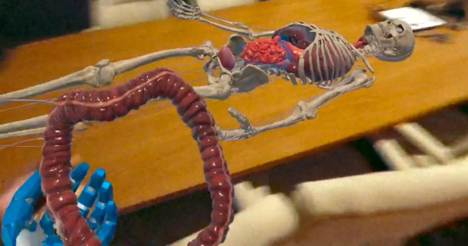 vxr-anatomy tutorial