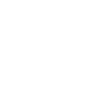 Chapel Hill University Logo