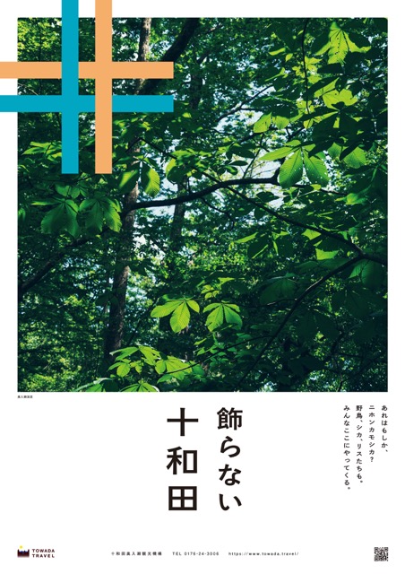 飾らない十和田〈奥入瀬渓流/葉〉