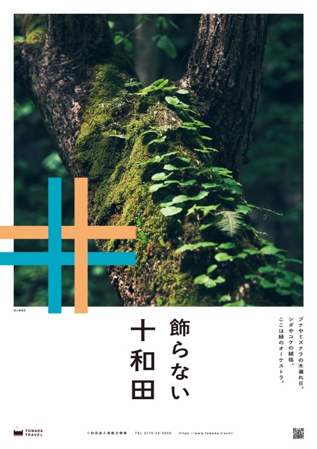 飾らない十和田〈奥入瀬渓流/苔〉