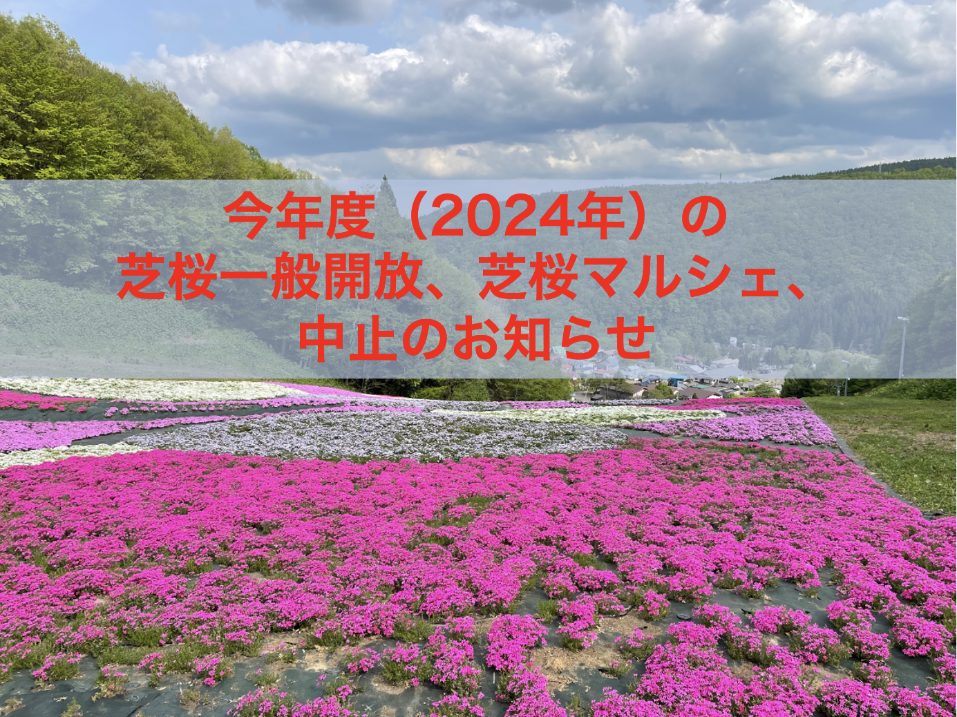 ◇2024年製！◇東芝◇ZABOON◇9.0㎏◇大阪兵庫京都奈良滋賀和歌山◇ Towada Travel - 2024年度の芝桜一般開放、芝桜マルシェは中止となります