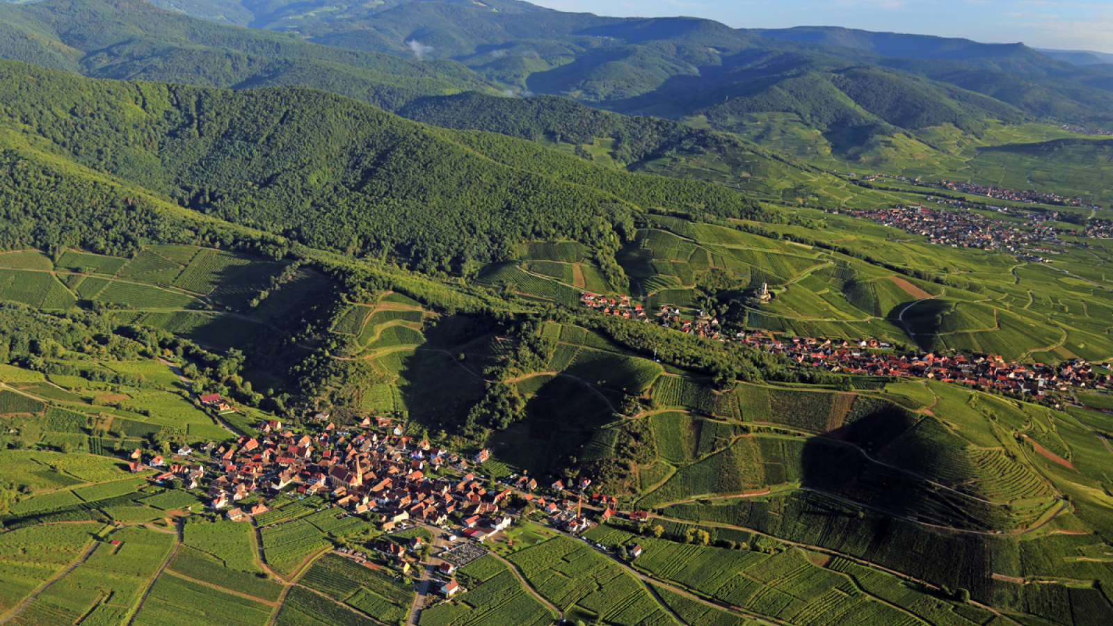 Conciergerie de location courte durée sur la Route des Vins d'Alsace