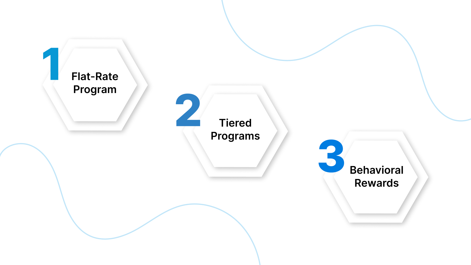 Loyalty Point Program Models