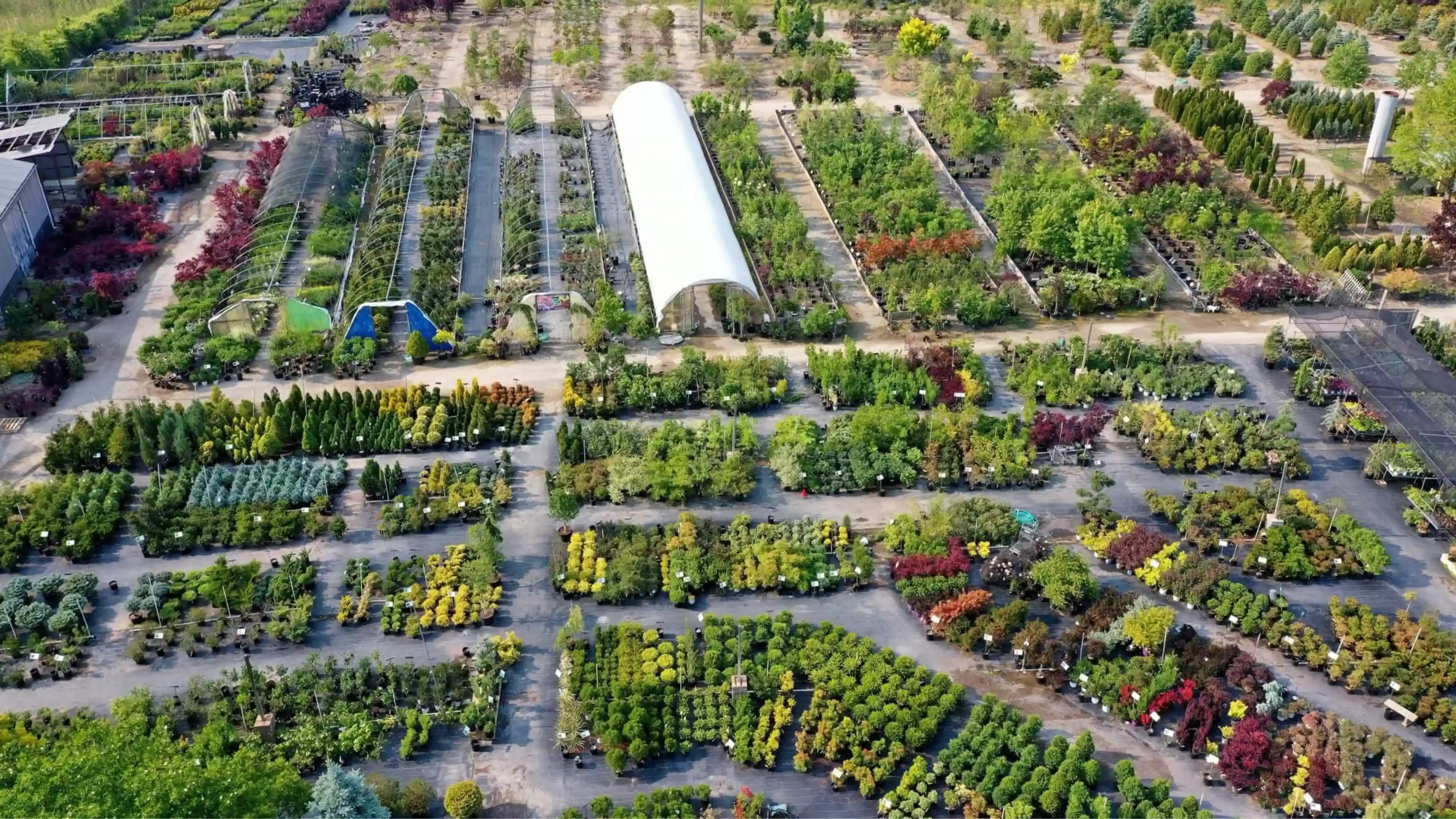 Pandy's Garden Center