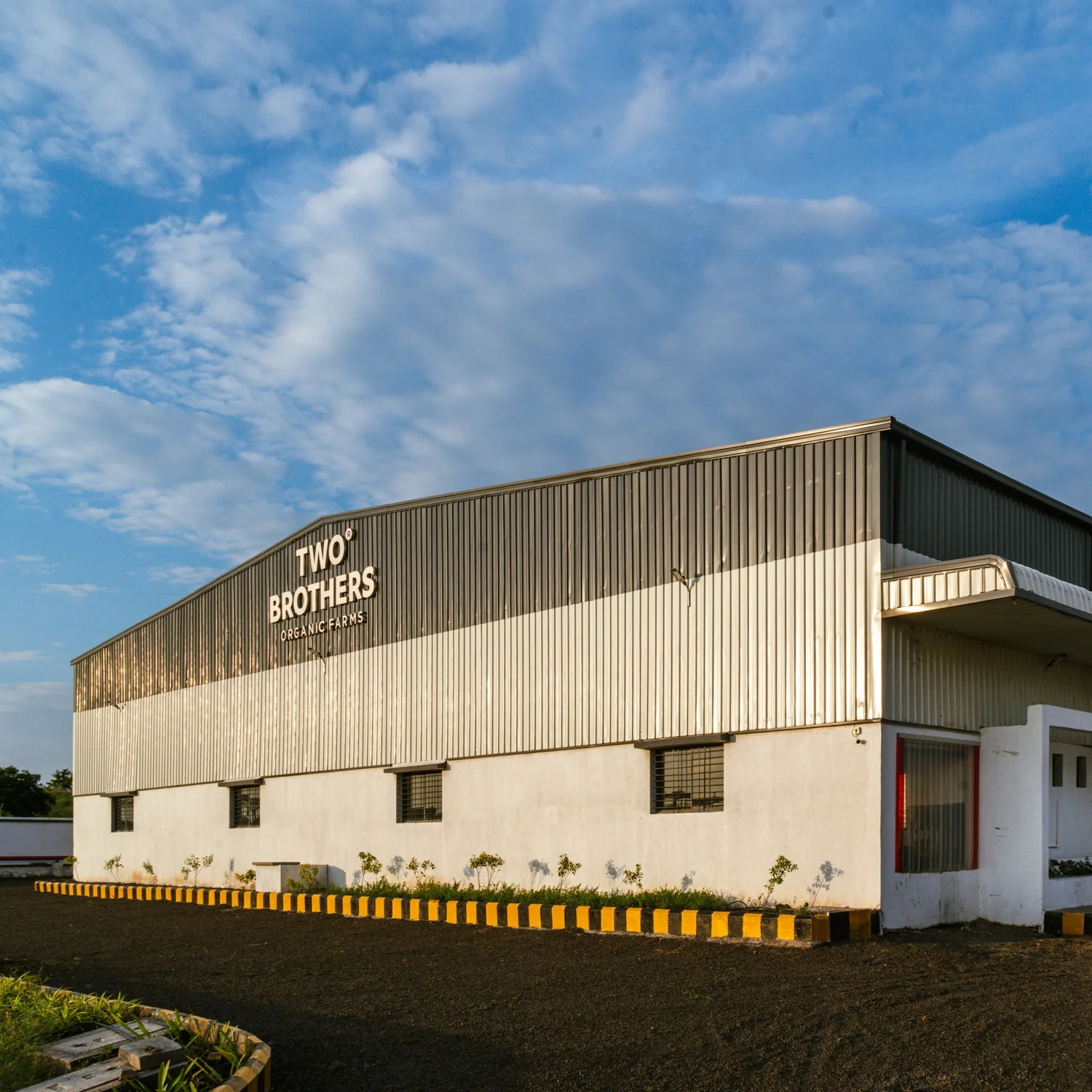 case studies nector.io