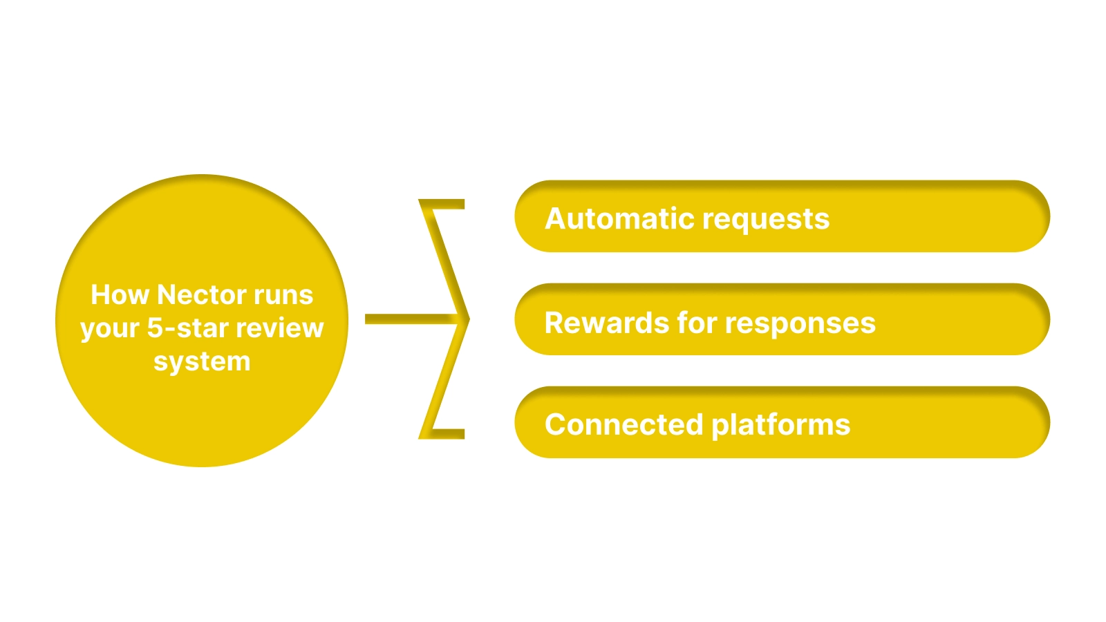Using Nector to Automate 5-Star Review Collection
