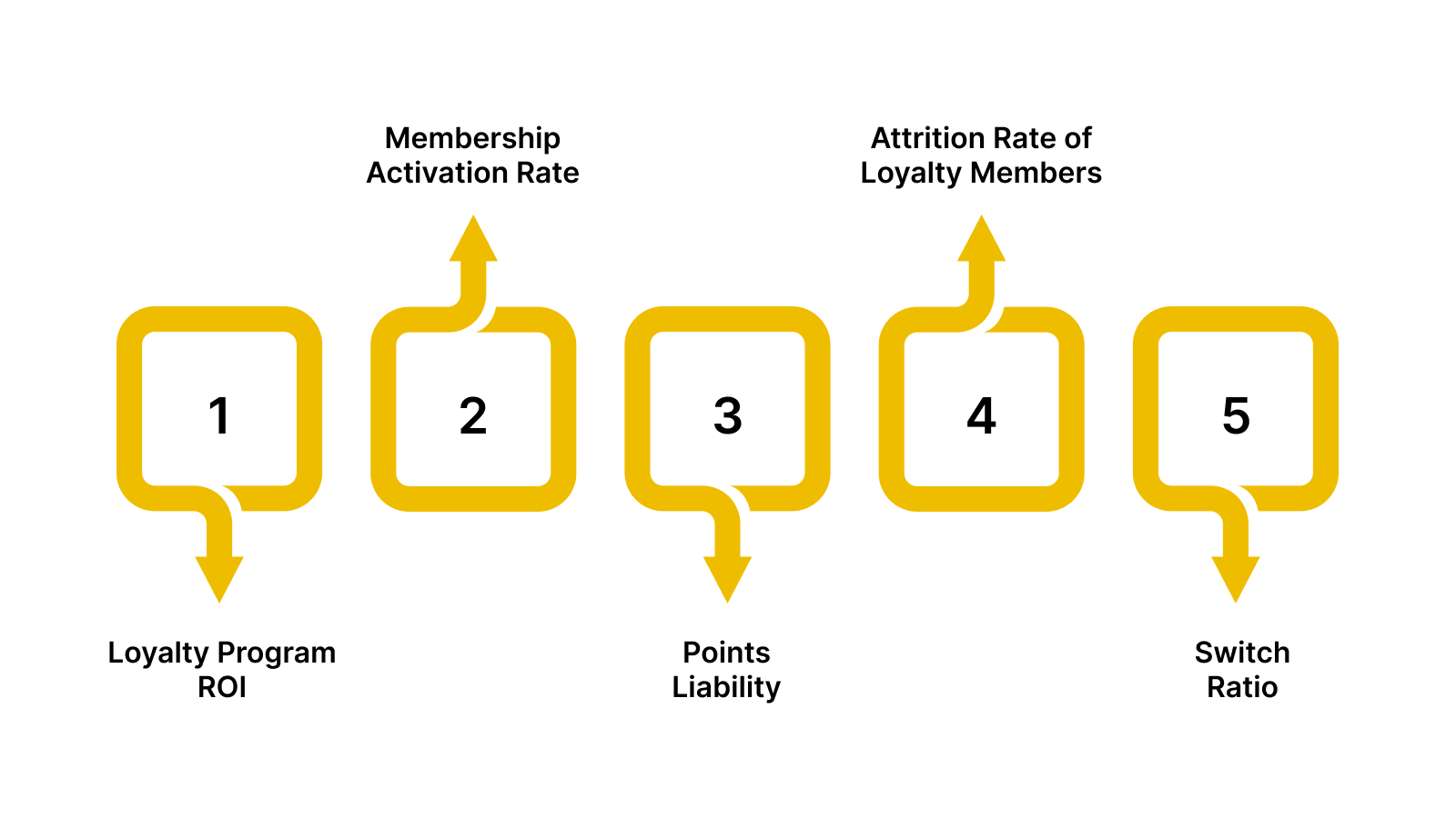 Loyalty Program Health Metrics