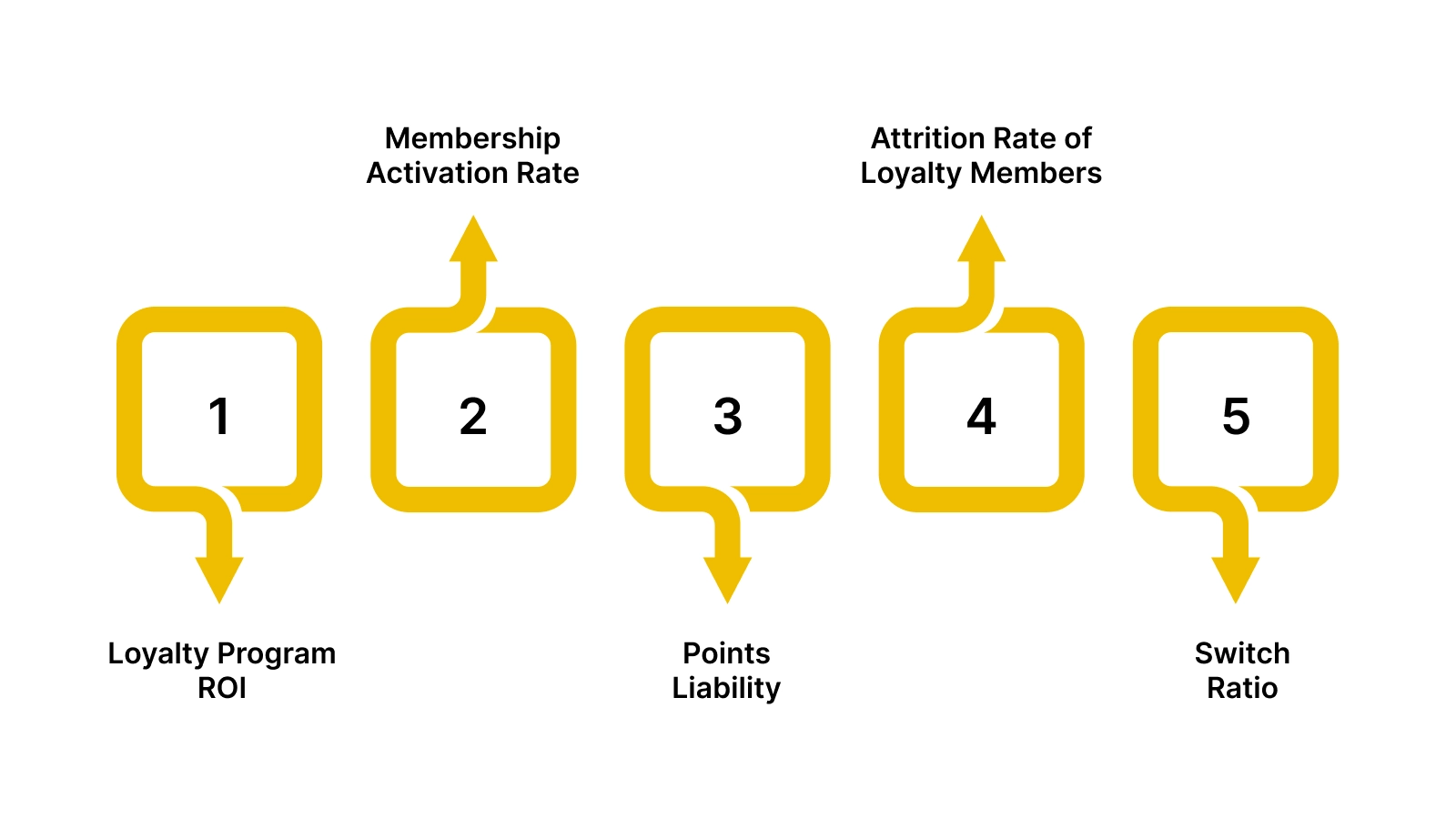 Loyalty Program Health Metrics