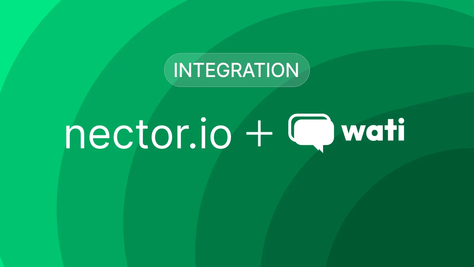 Nector + Wati Integration: Bring Loyalty Updates Into WhatsApp Conversations