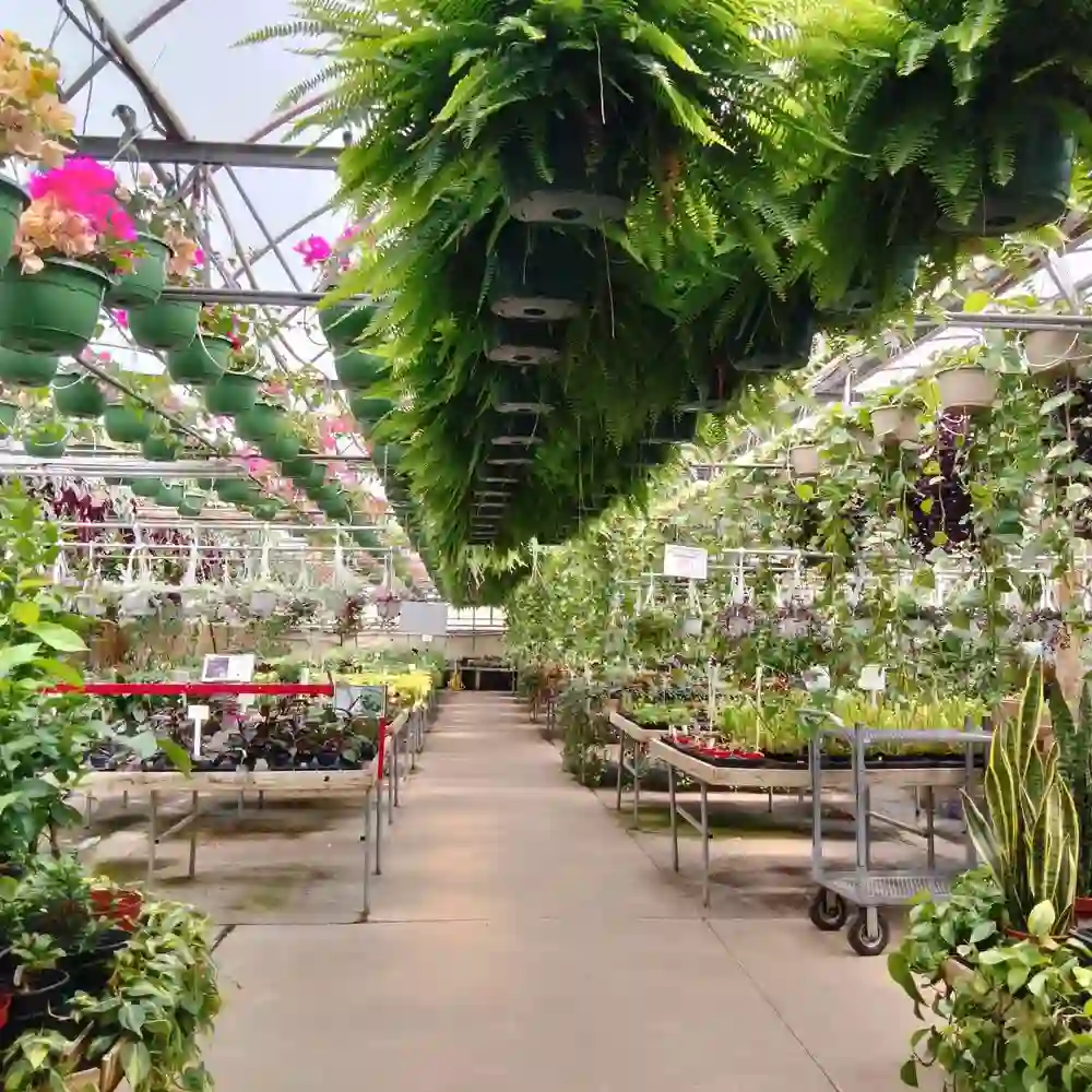 Pandy's Garden Center