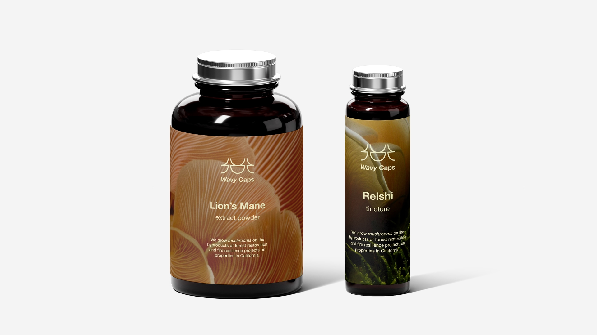 Product design example for Wavy Cap Mushroom brand guidelines.