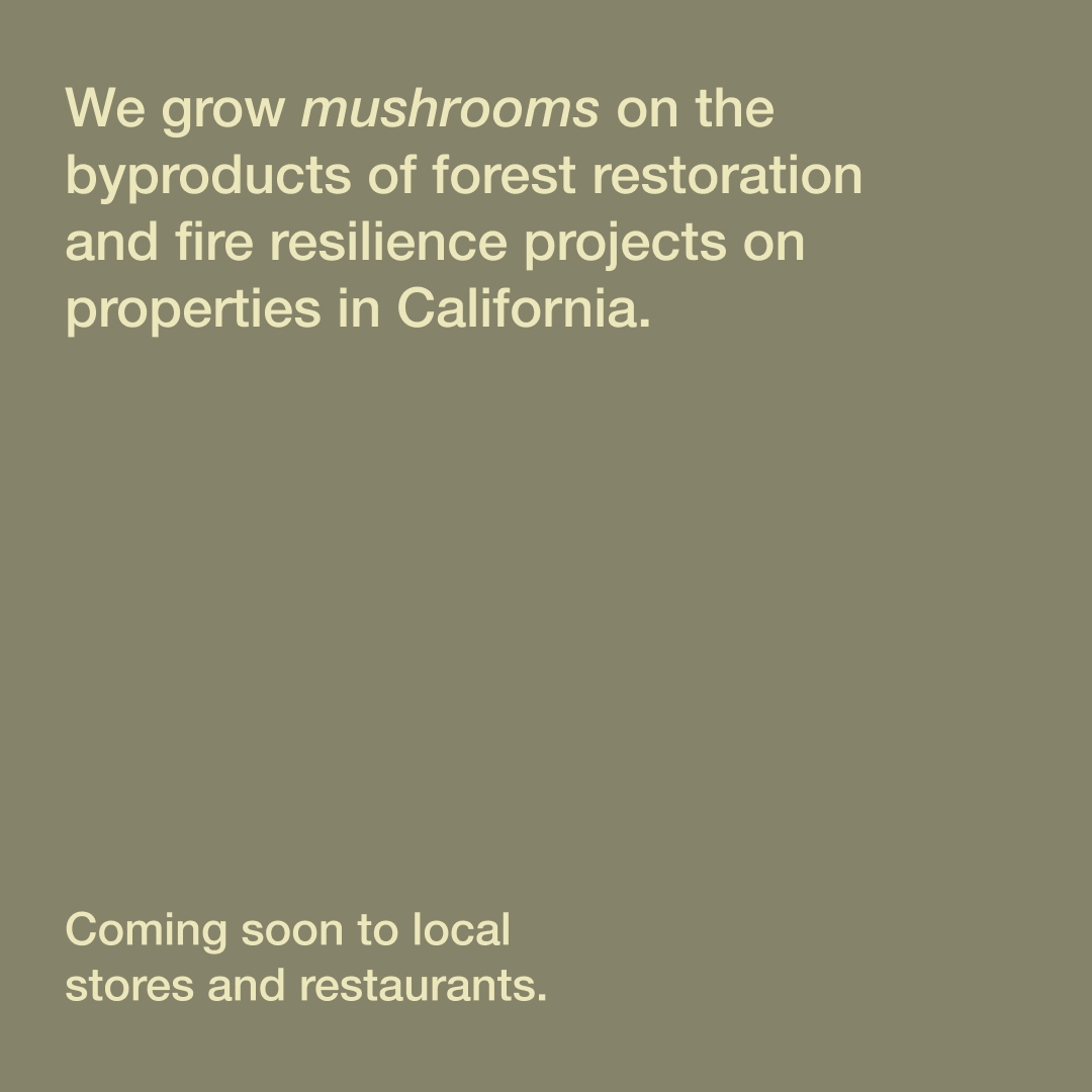 Social media content for Wavy Cap Mushrooms.