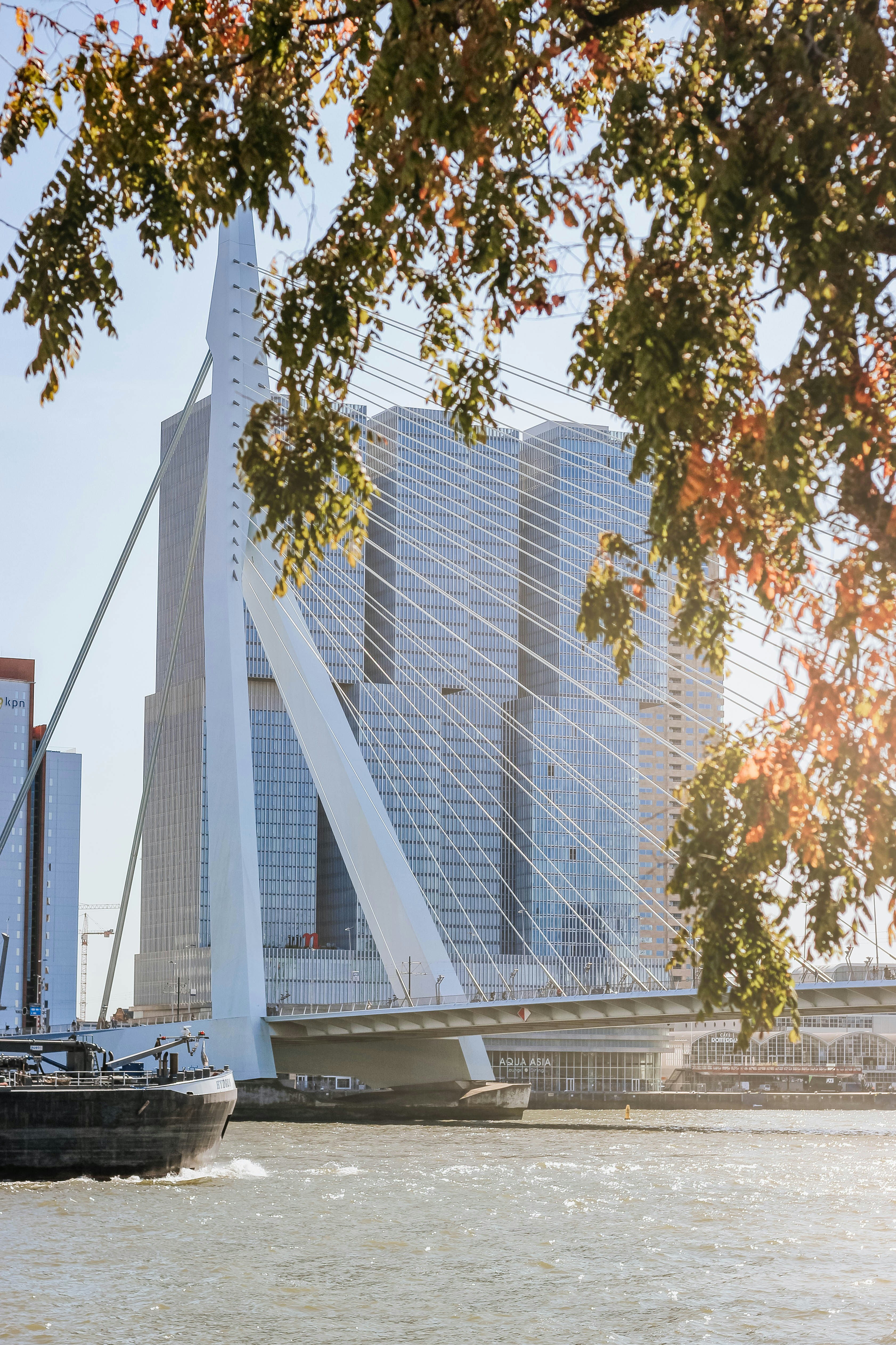 Rotterdam
