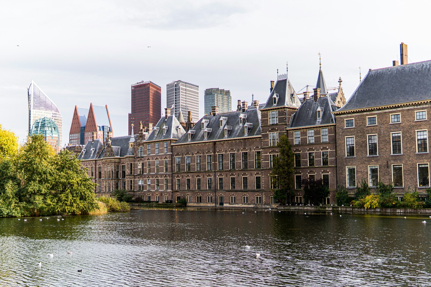 Den Haag