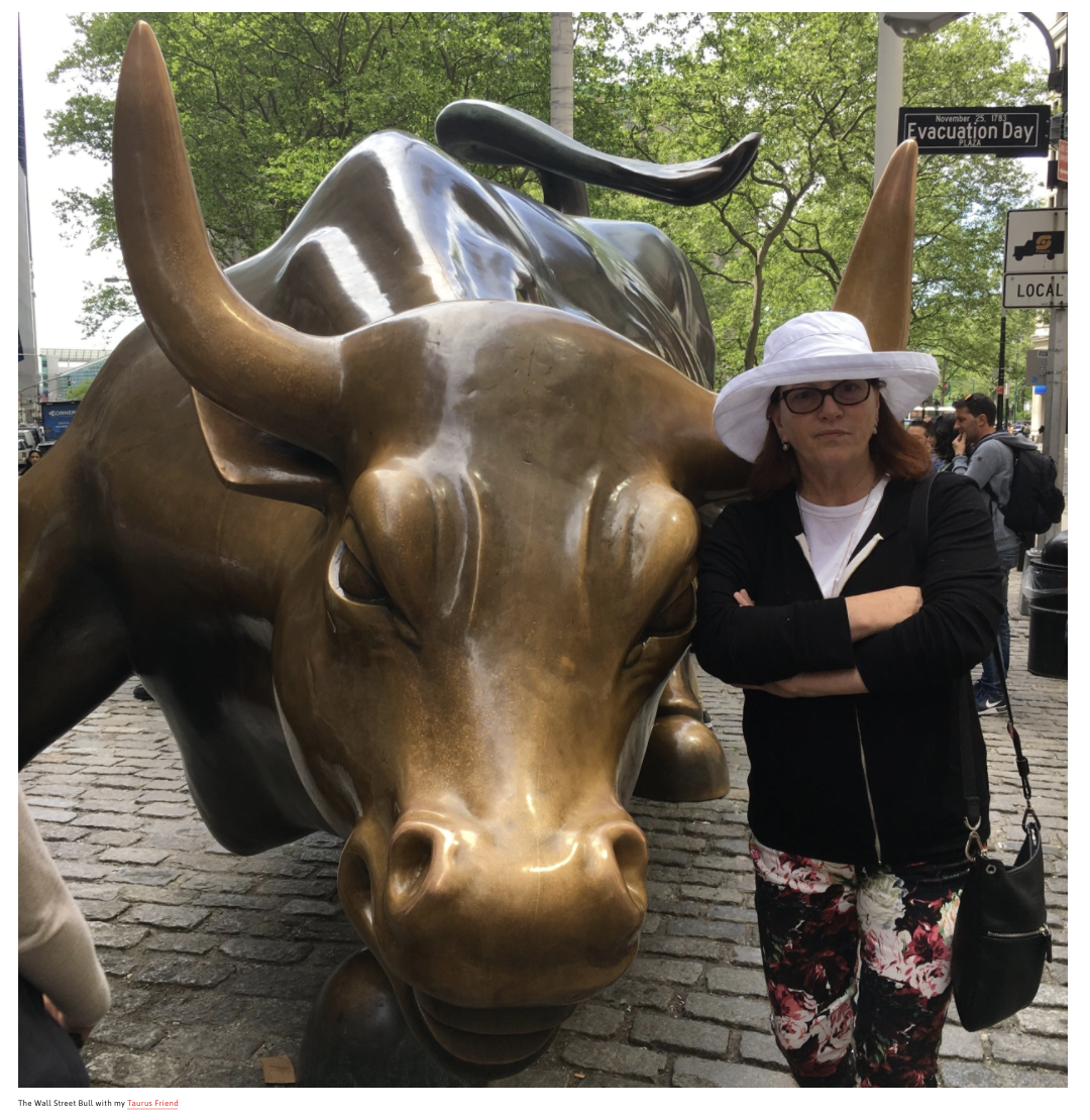  The Wall Street Bull with my  Taurus Friend  