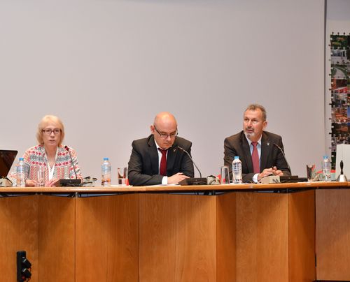 Gender Equality and Democracy in Sport¹