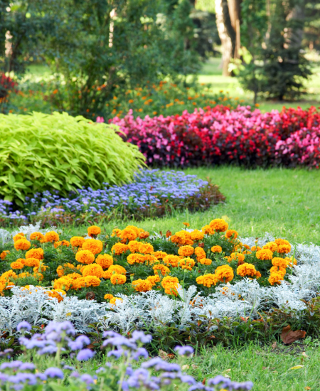 Flower garden freshly trimmed 