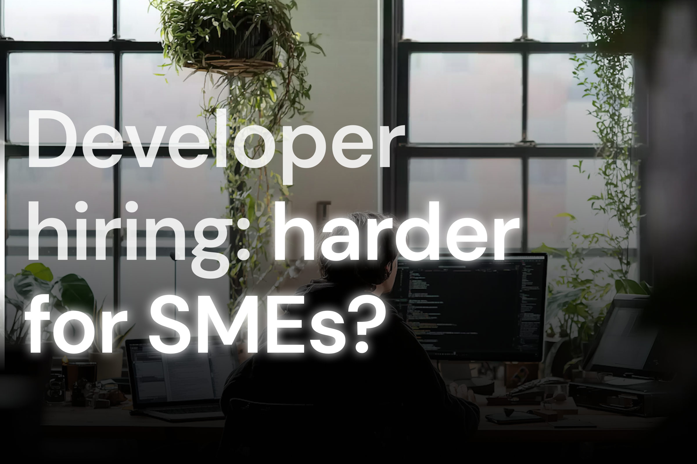 Senior developer hiring: why the tech market recovery makes things harder for SMEs