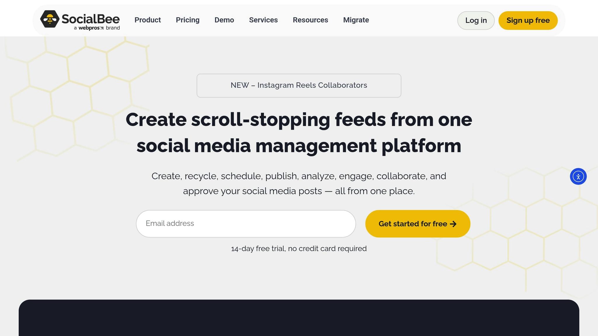 SocialBee