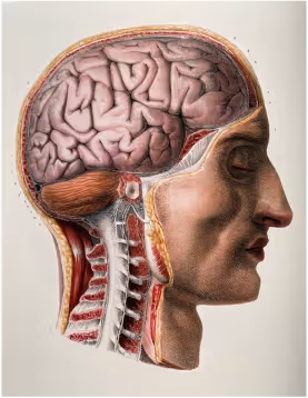 Open Mind