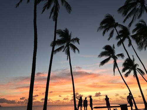 Picture of a sunset in blue, orange, and yellow with silhouettes of palm trees and people standing looking out over the ocean.