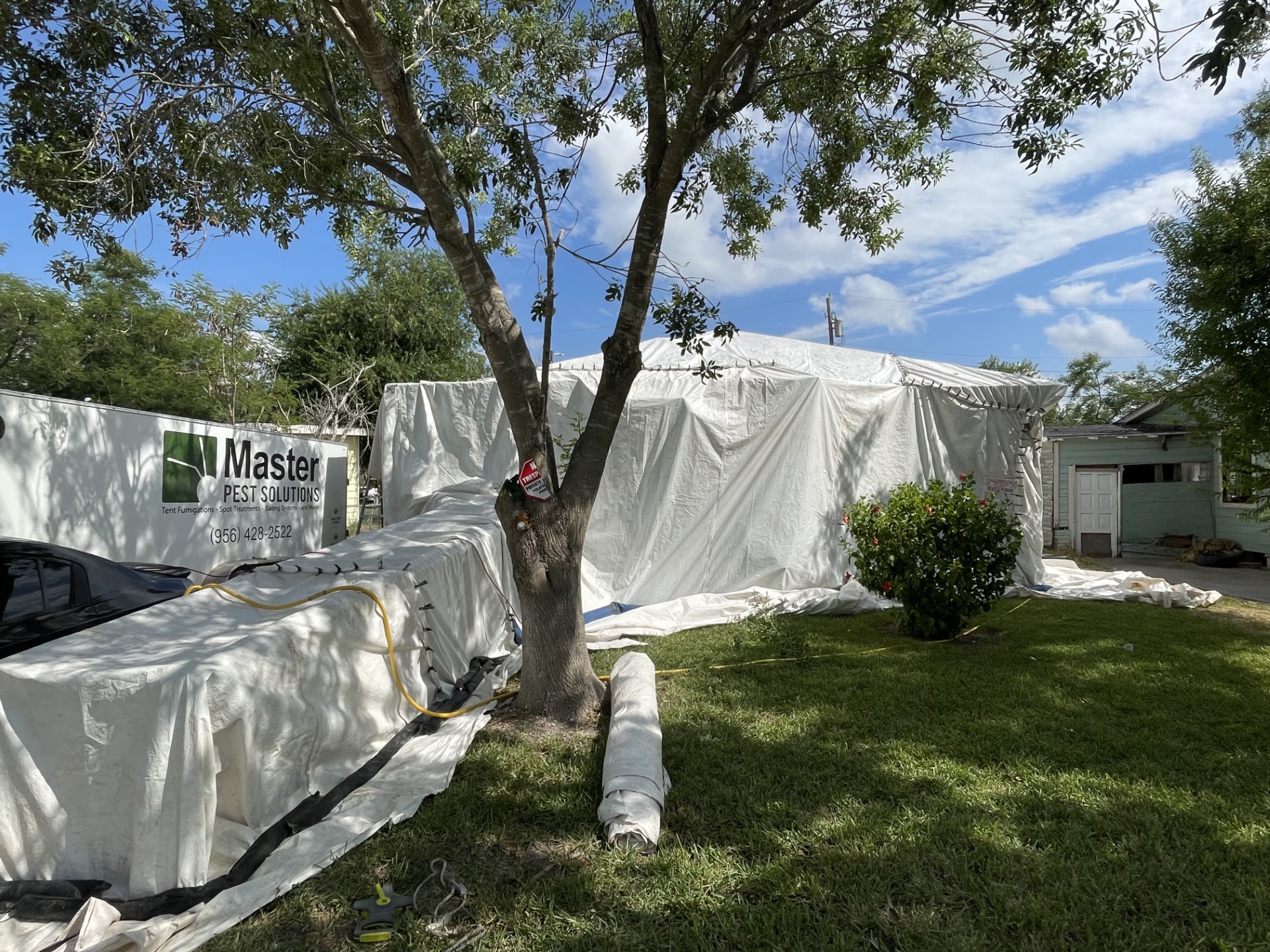 Why Tent Fumigation Is the Preferred Choice for Bed Bugs in McAllen