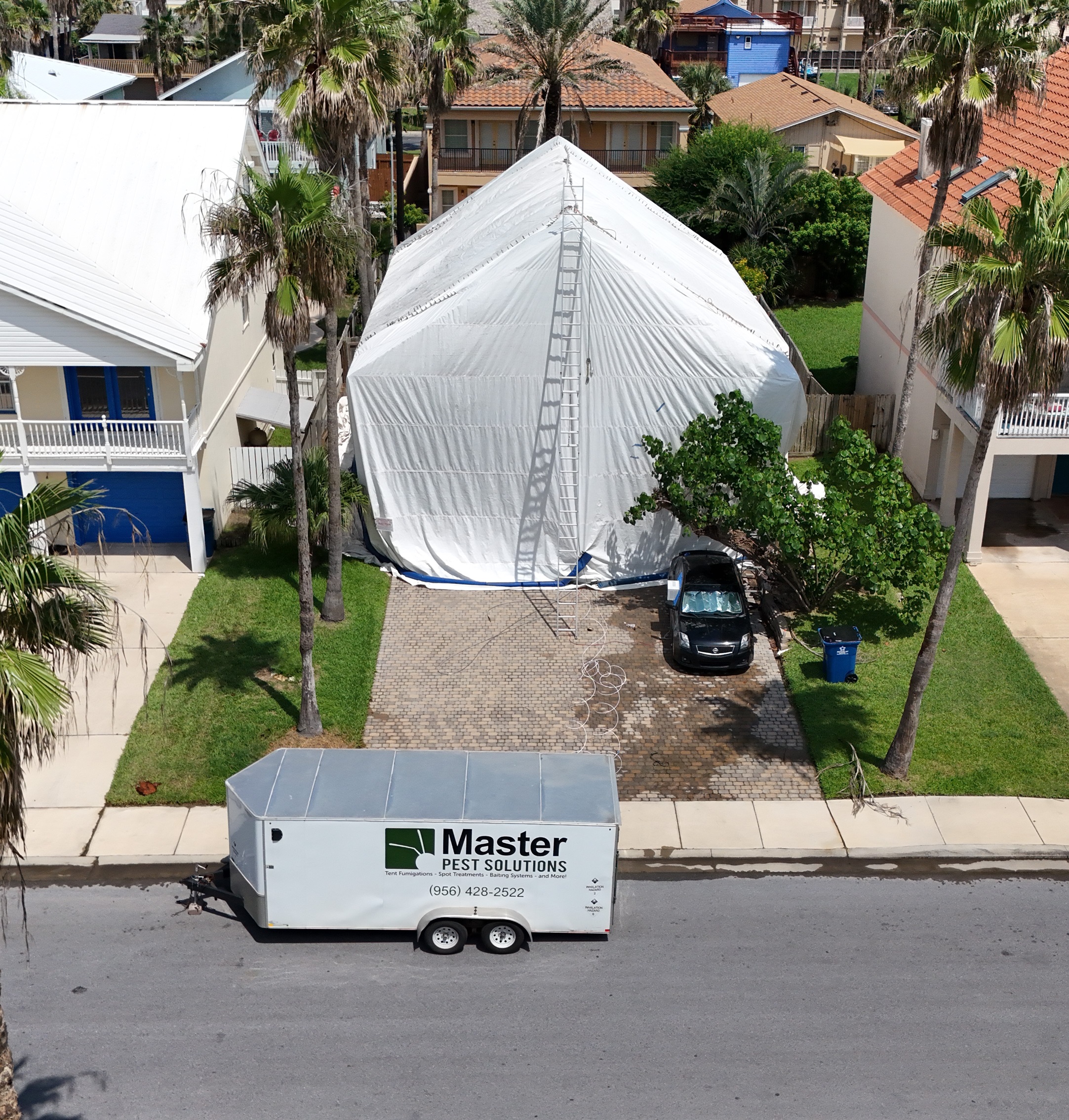 How Tent Fumigation Provides Lasting Termite Solutions for Brownsville Homes