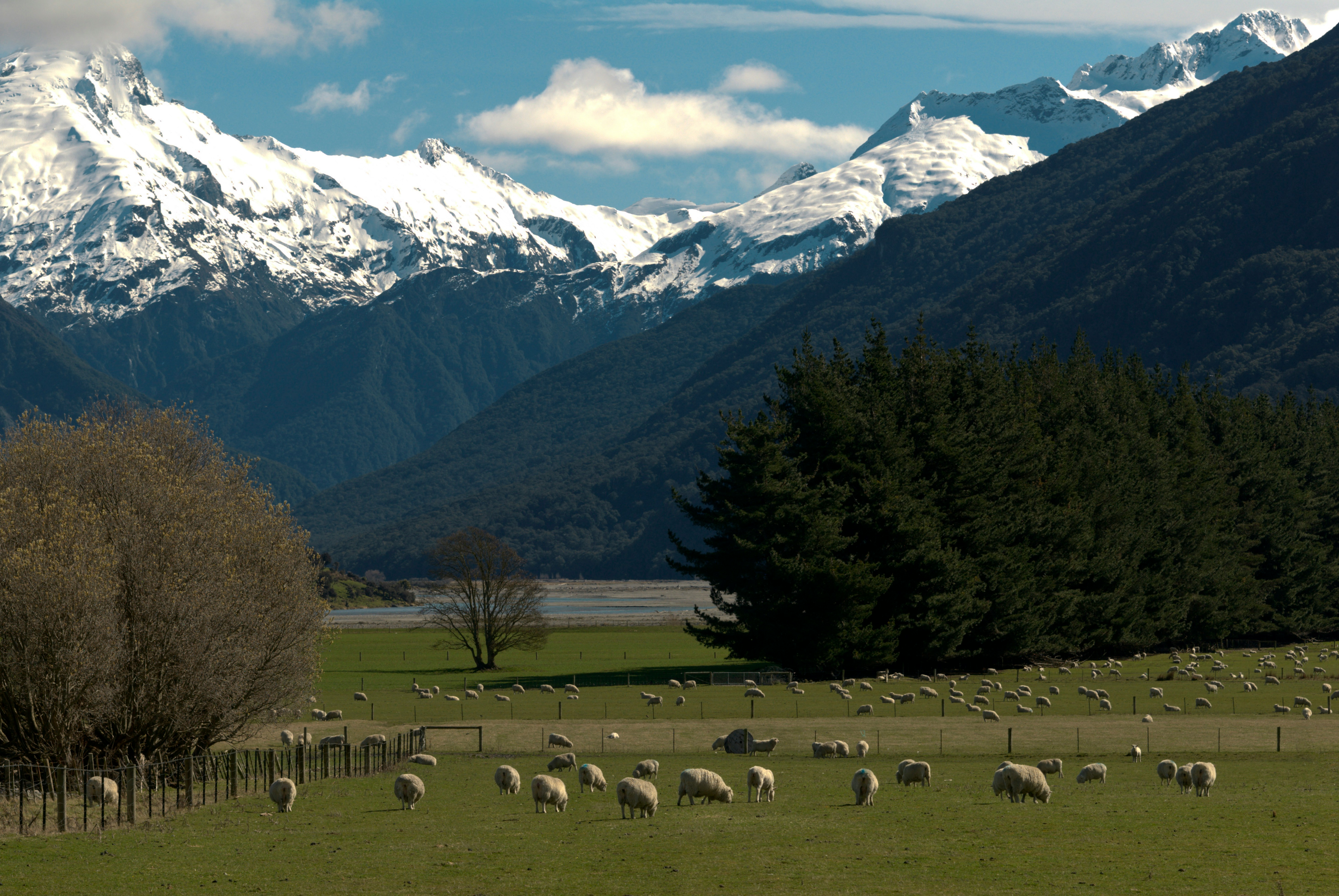 Photo by <a href="https://unsplash.com/@photographycoursenet?utm_content=creditCopyText&utm_medium=referral&utm_source=unsplash">PhotographyCourse</a> on <a href="https://unsplash.com/photos/green-grass-field-near-green-trees-and-snow-covered-mountains-dur