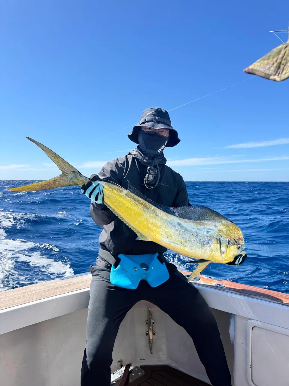 Angler holding a mahi mahi caught with Game Time Charters