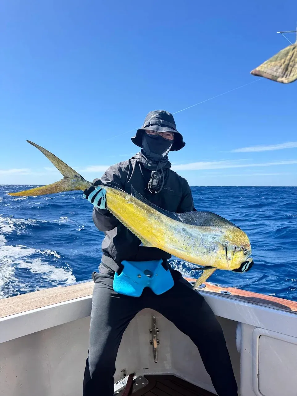 Angler holding a mahi mahi caught with Game Time Charters