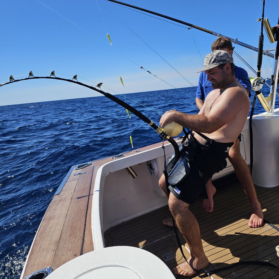 Angler harnessed into a bent rod fighting a fish on a Game Time Charters game fishing charter