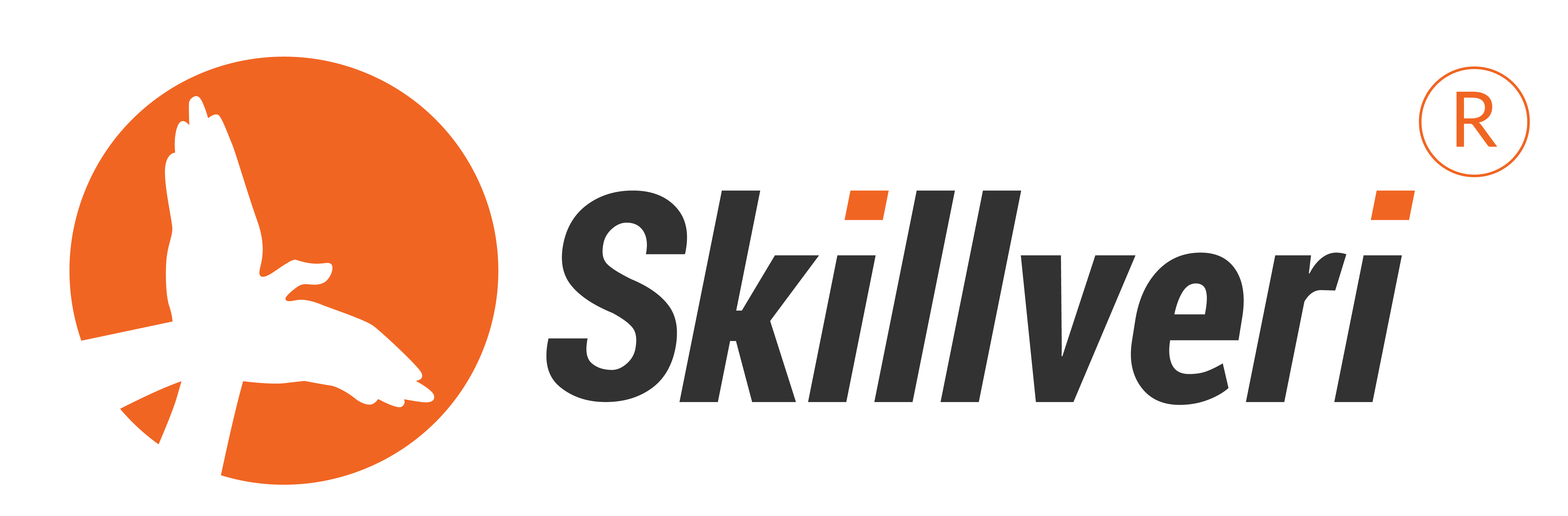 Skillveri Logo