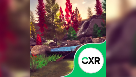 HMT - Meditation in VR