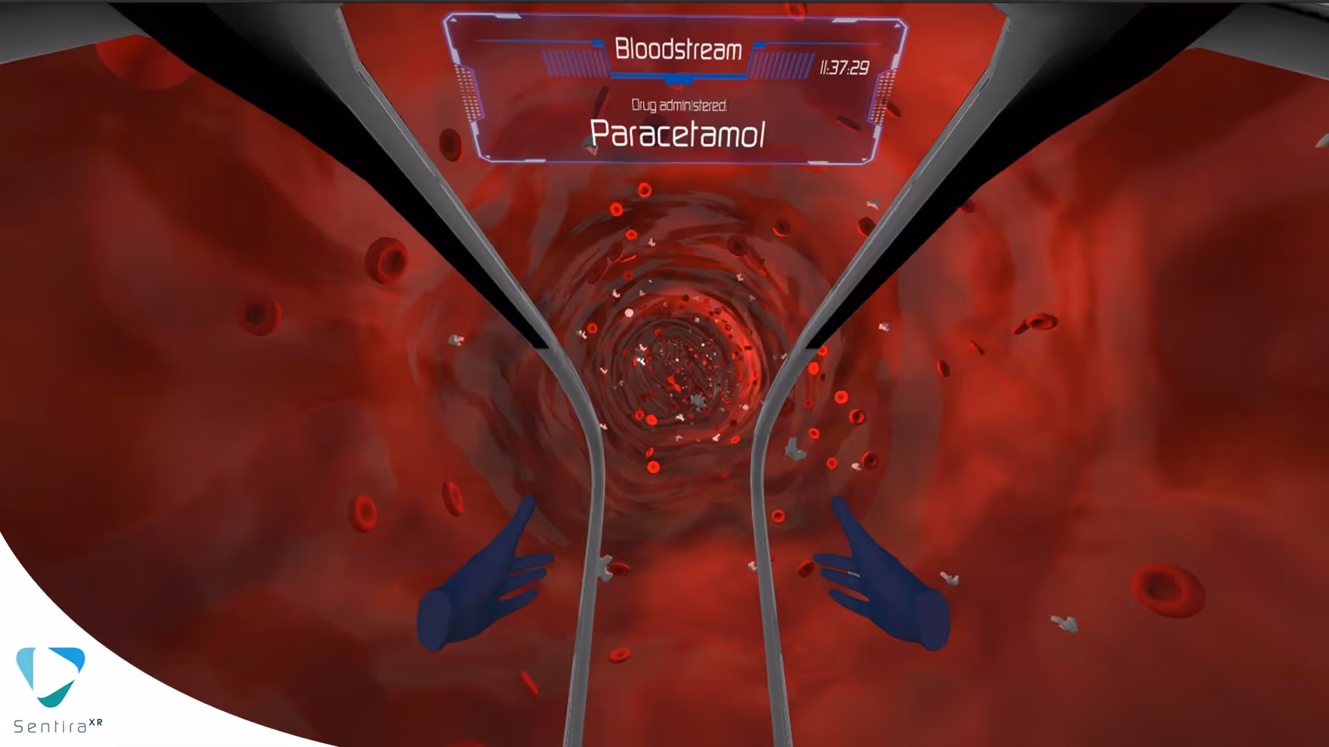 Medical Simulation