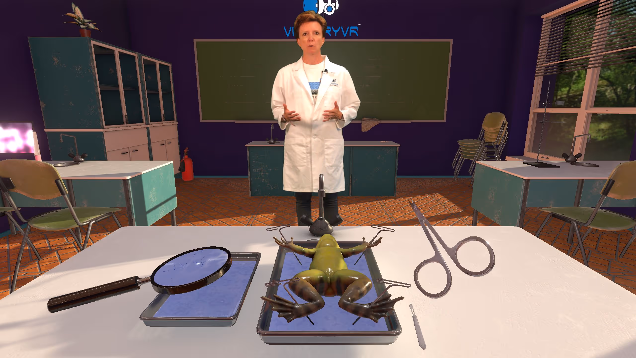 Frog Dissection