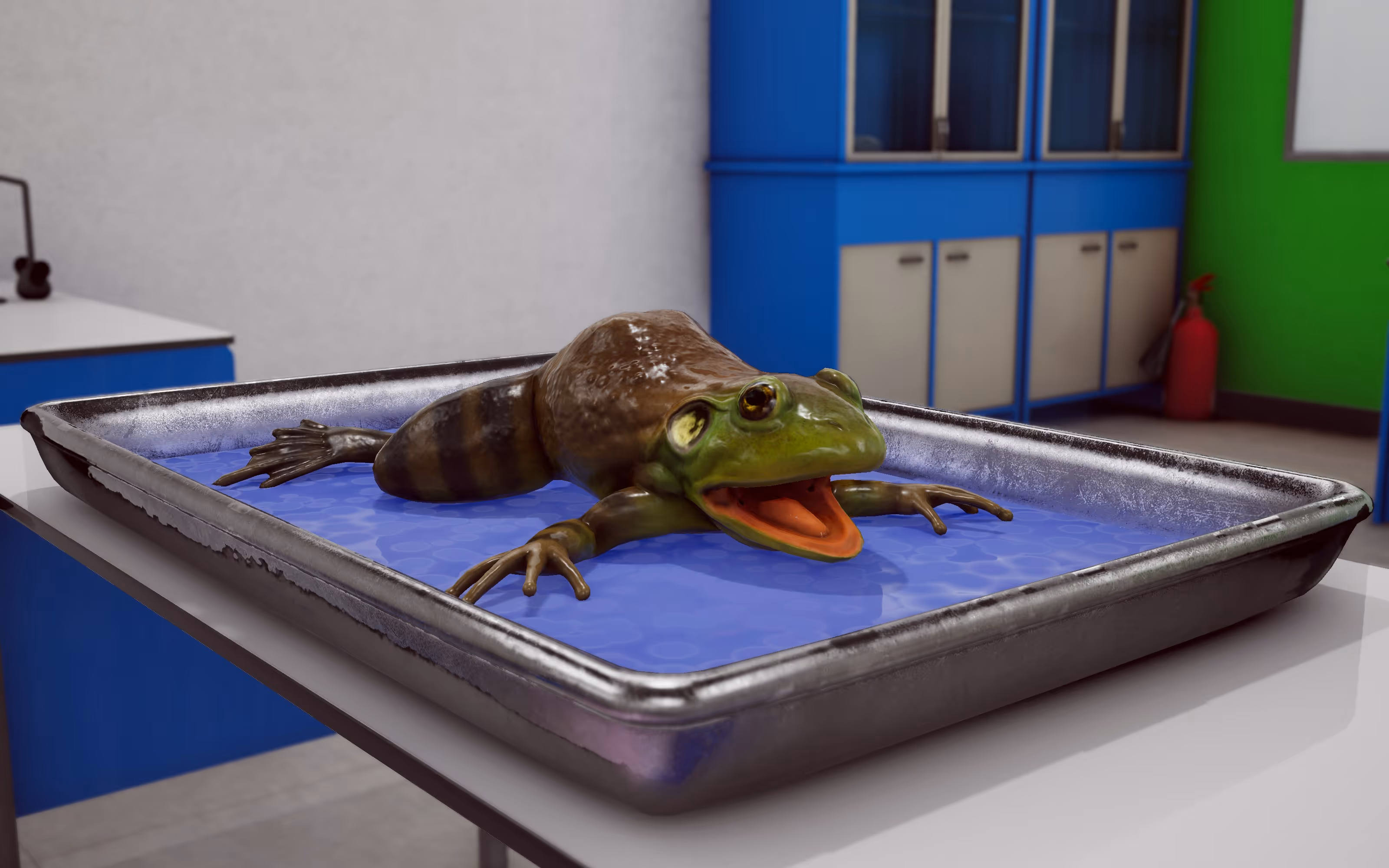 Frog Dissection