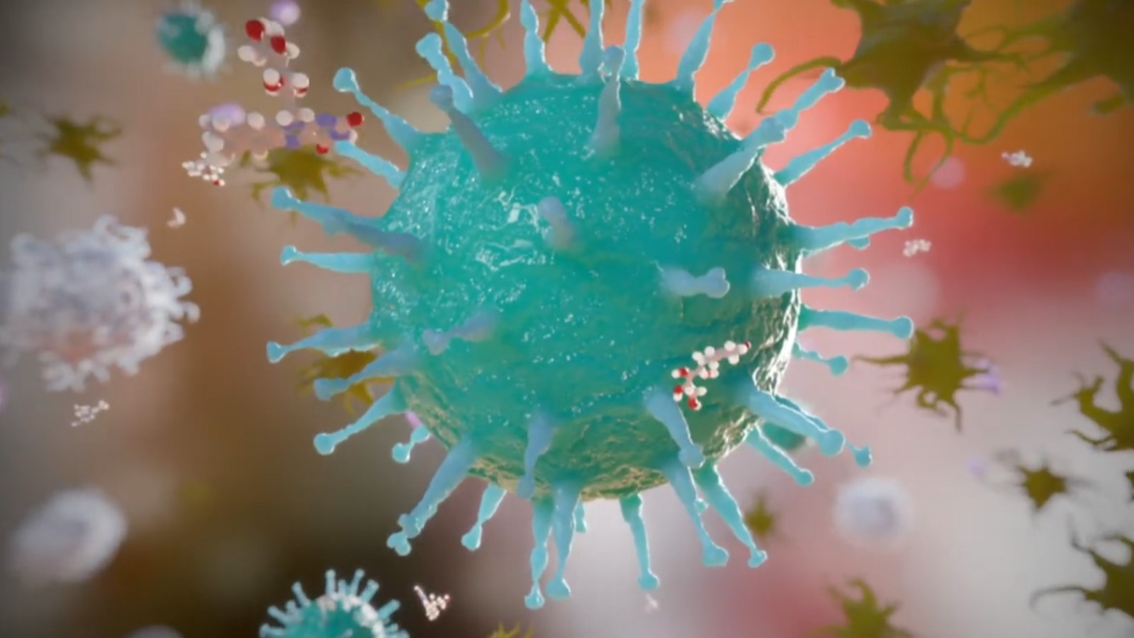 Infuse Medical Gallery Image 10