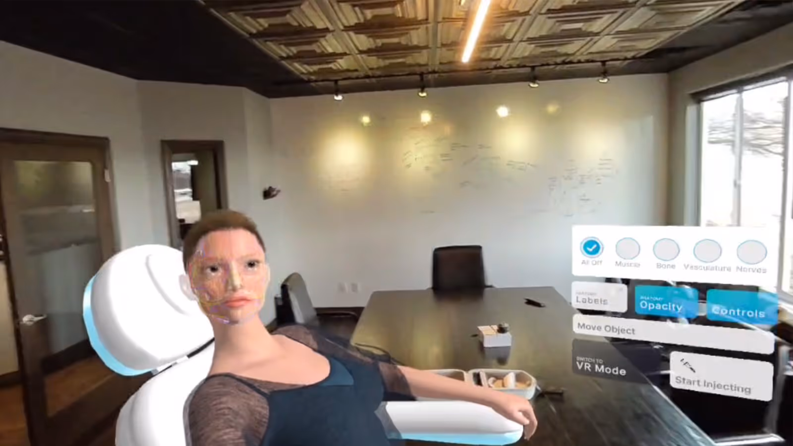 Aesthetic Injection Training