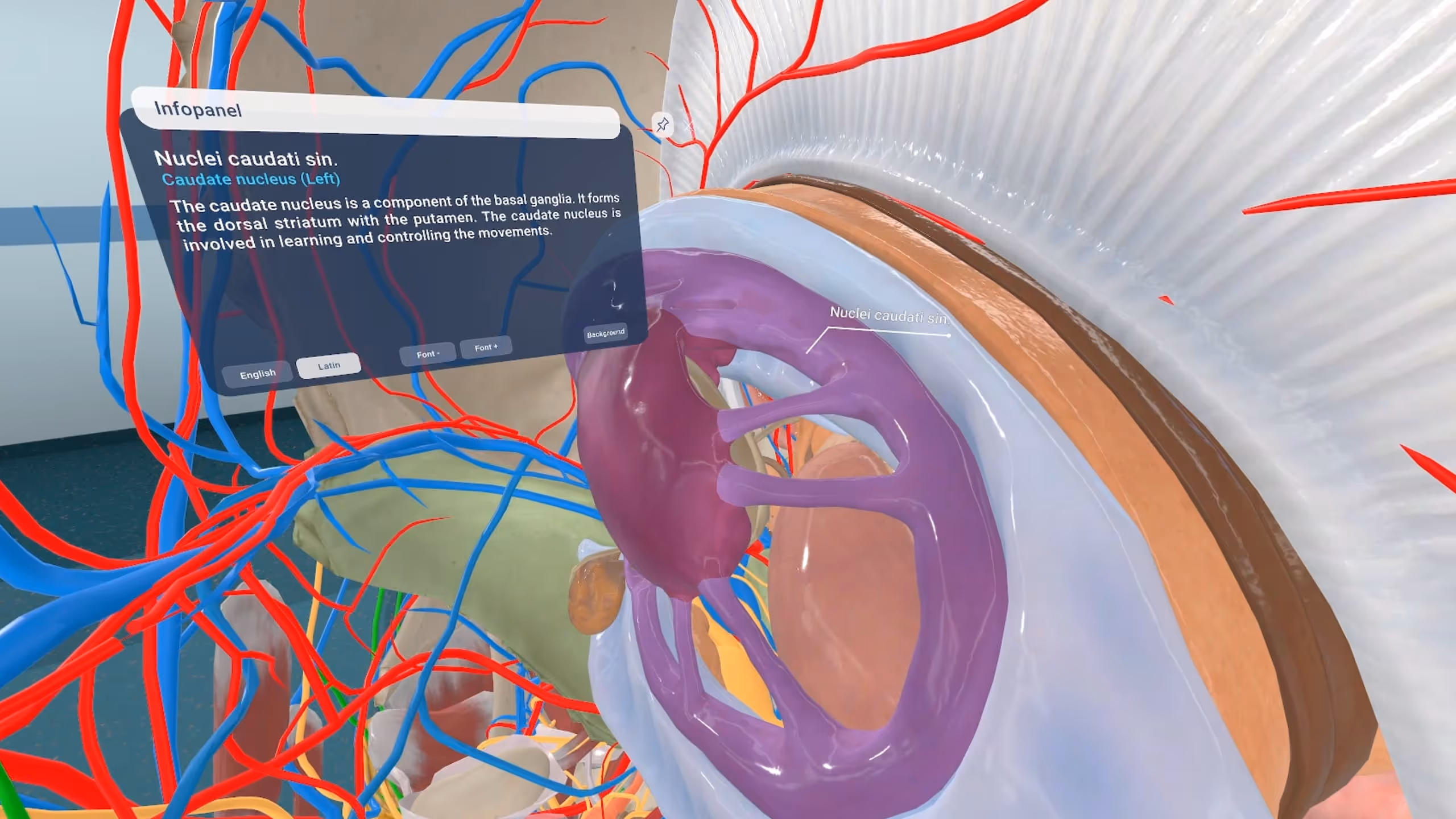 Virtual Medicine Gallery Image 3