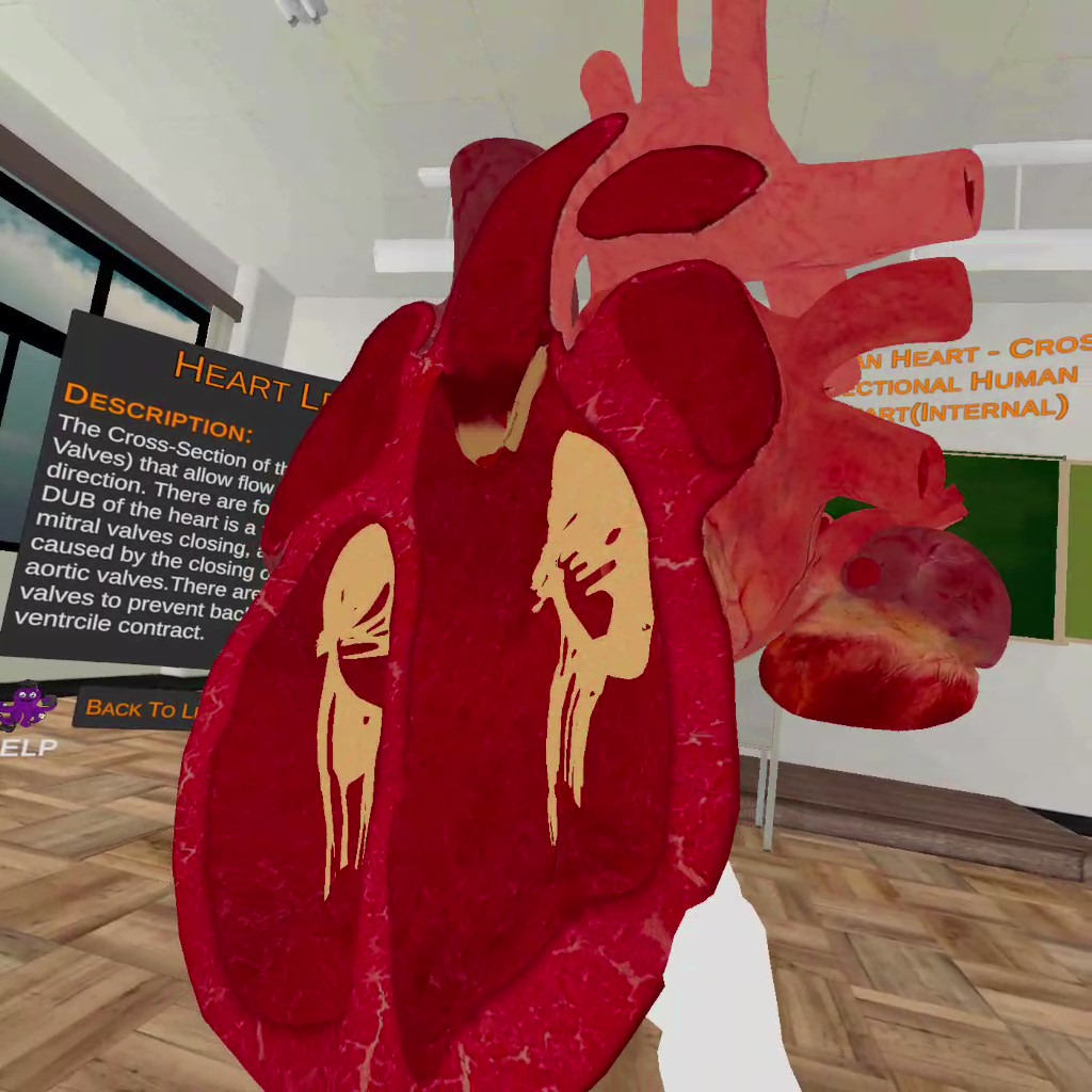 Learnroll Gallery Image 2