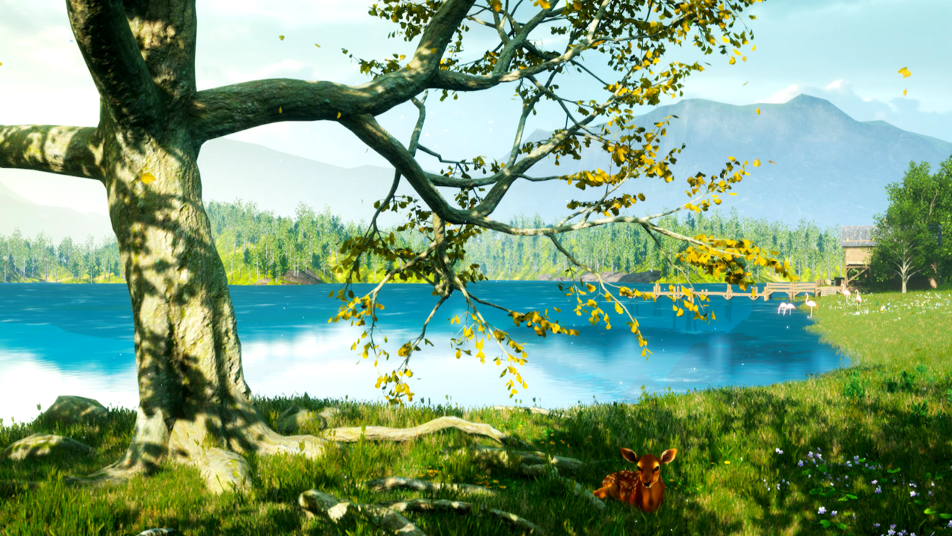 Healthy Mind Gallery Image 7