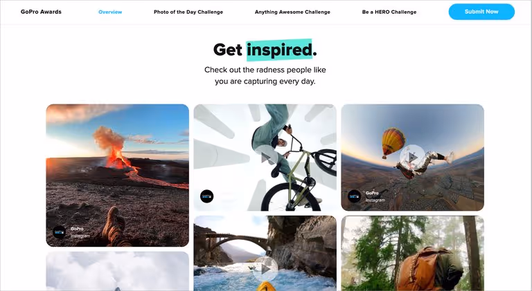 An Instagram feed embedded on a website