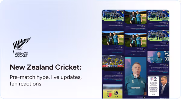 new zealand match updates