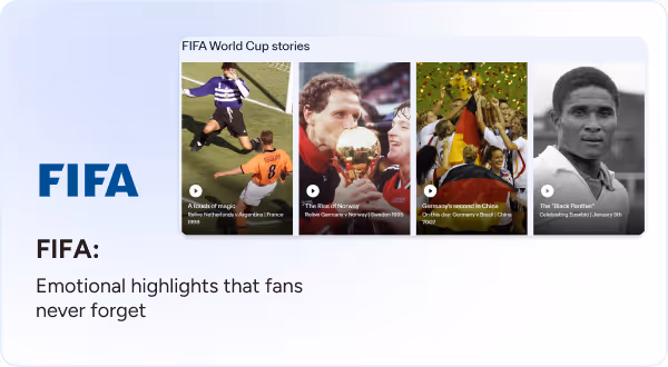 fifa emotional fight