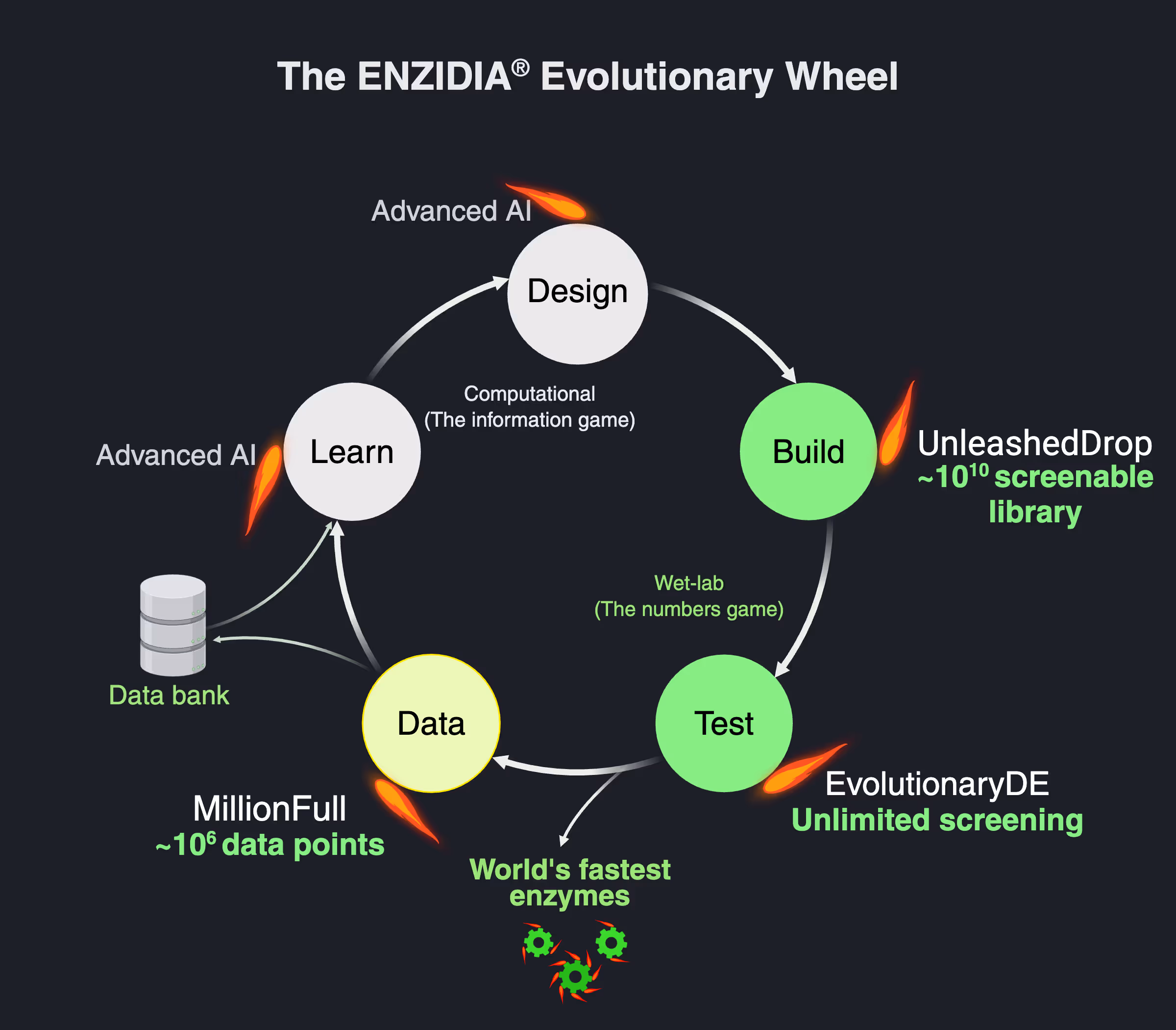 Enzidia Evolutionary Wheel