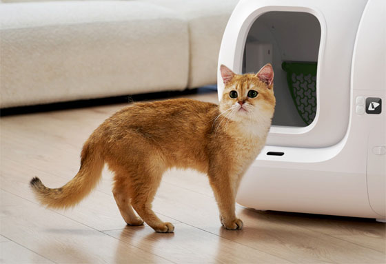 Petkit Pura Max 2 Automatic Cat Litter Box