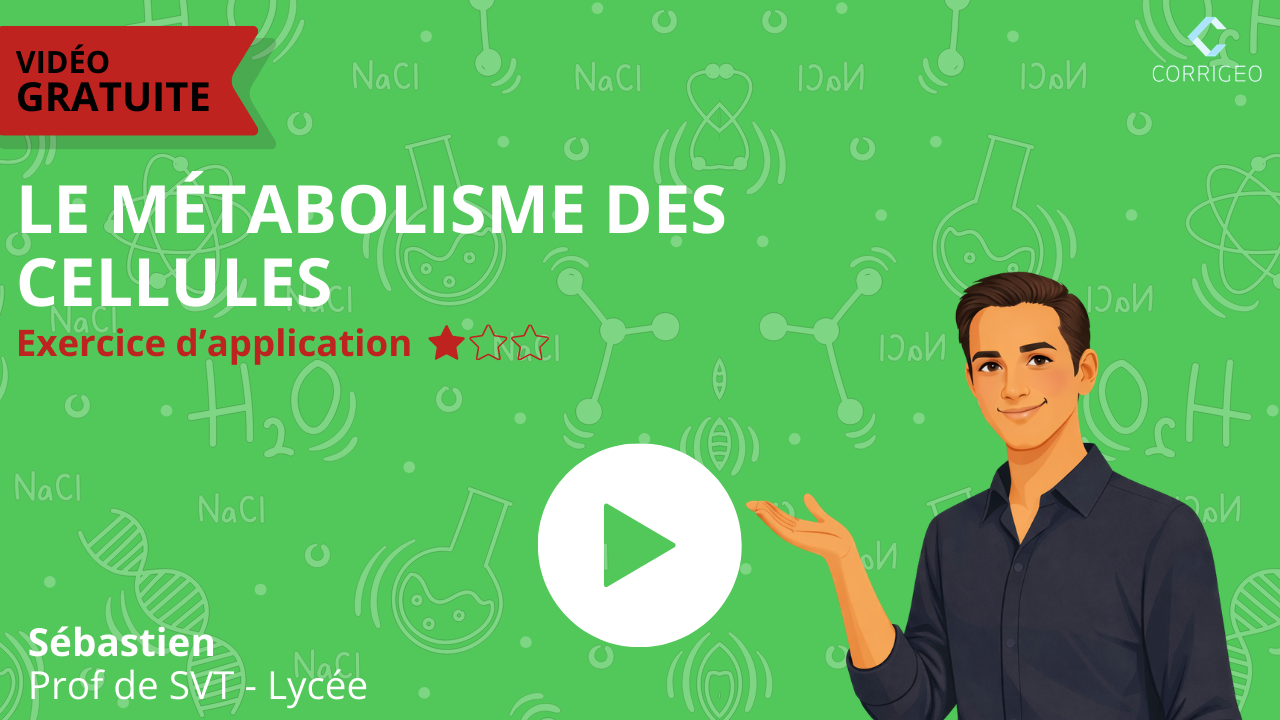 Sébastien - Exercice d'application