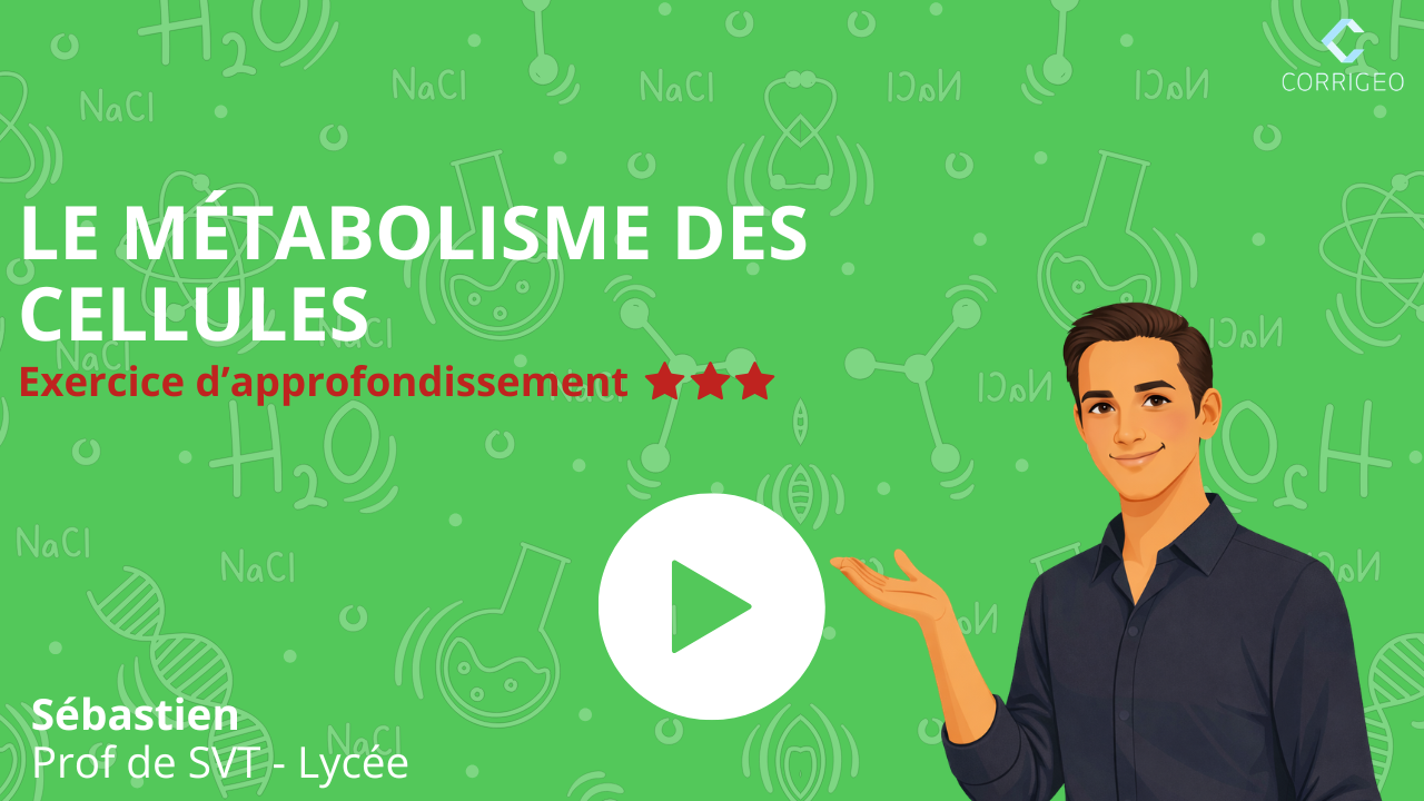 Sébastien - Exercice d'approfondissement