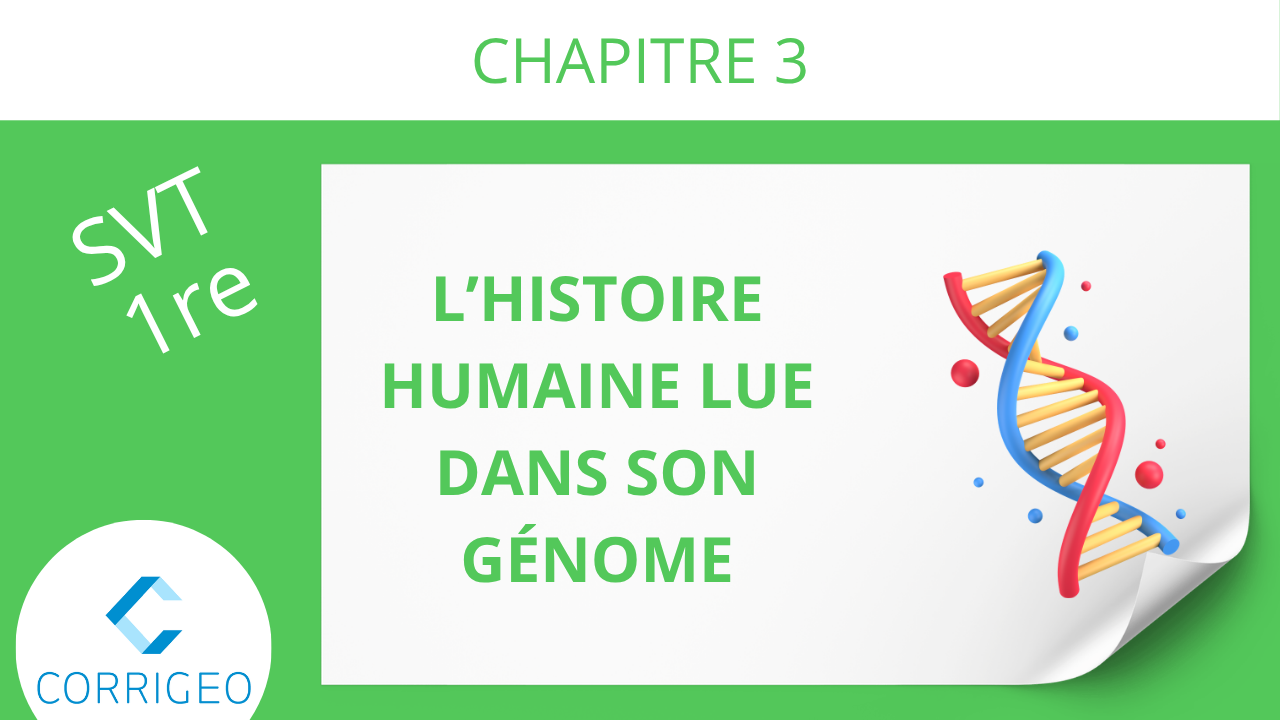 1re-L'histoire humaine lue dans son génôme